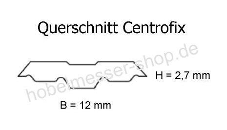 Querschnitt Centrofix