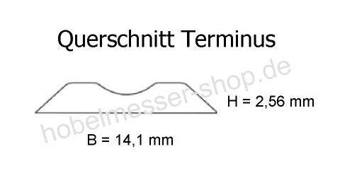 Querschnitt Terminus